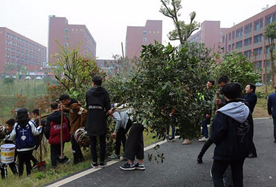 三峡联合职业大学招生录取分数线