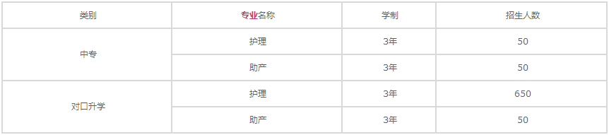 重庆南丁卫生学校2020年招生专业