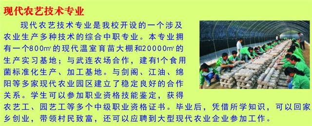 四川省剑阁县武连职业中学开设哪些专业？