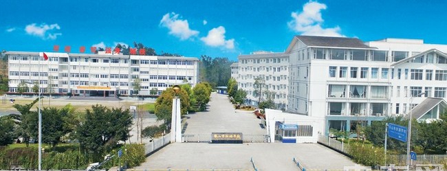 学校全景