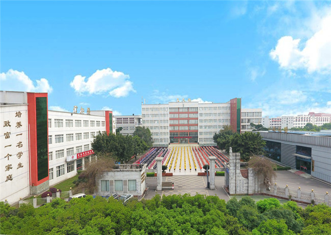 乐山市计算机学校图片、照片