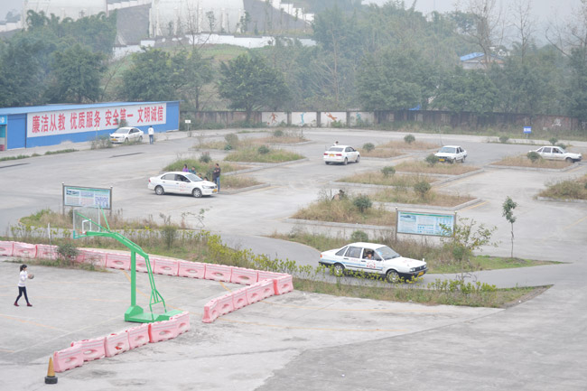 自贡市飞鱼职业学校图片、照片