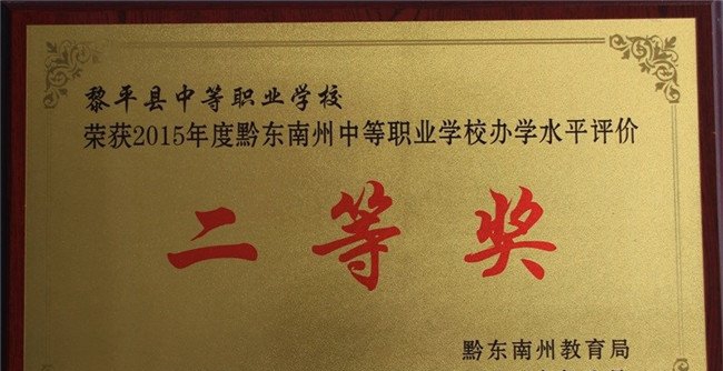 黎平县中等职业学校获得2020年二等奖