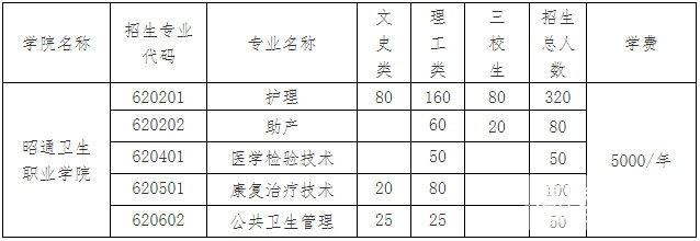 昭通卫生职业学院