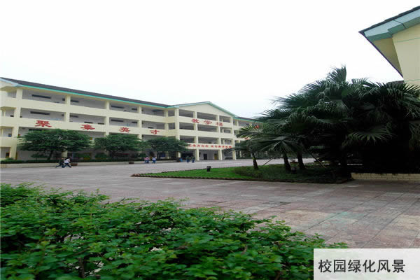 重庆聚英技工学校校园绿化风景