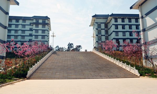 昆明卫生职业学院樱花大道