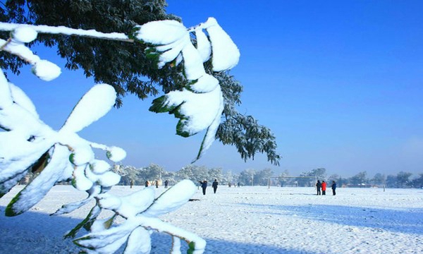 昆明铁路机械学校足球场风景