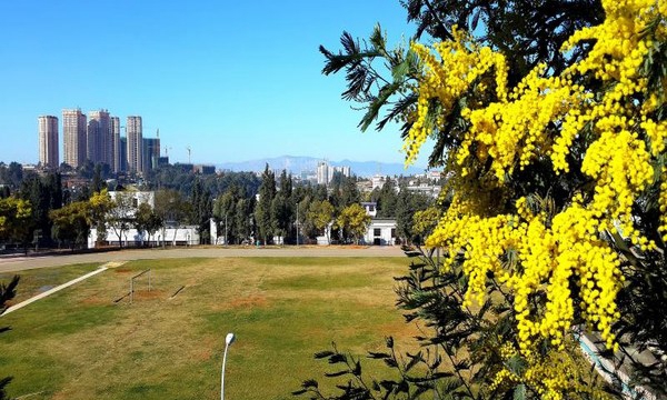 昆明铁路机械学校校园风景