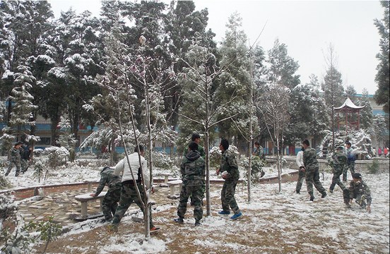 昆明现代科技学校校园雪景