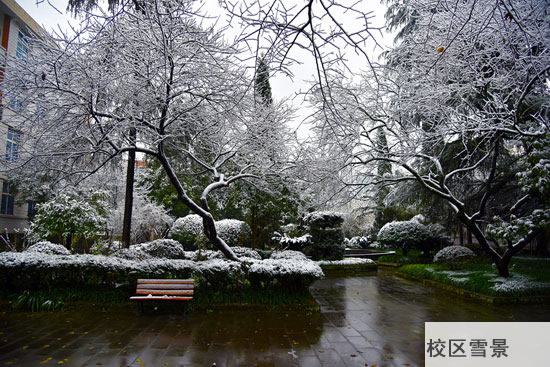 重庆春珲人文技工学校校区雪景图片