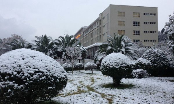 安宁市职业高级中学校园雪景