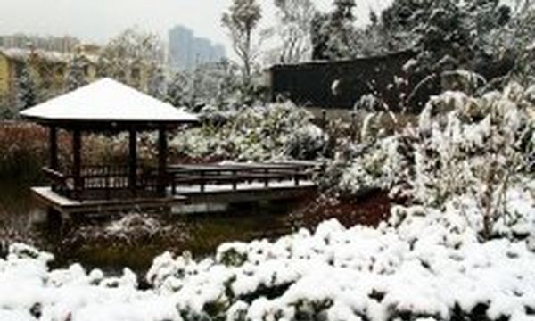 云南技师学院学院思源湖雪景