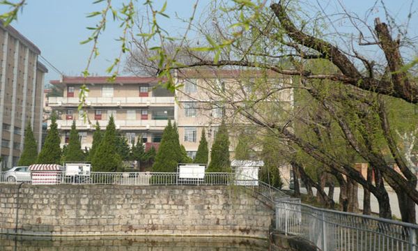 保山技师学院湖畔垂柳