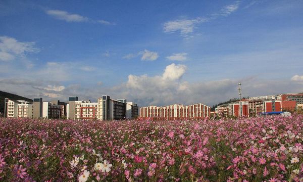 大理护理职业学院繁花似锦