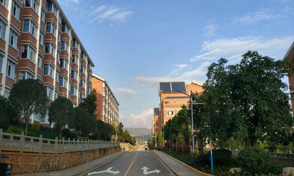 保山中医药高等专科学校校道