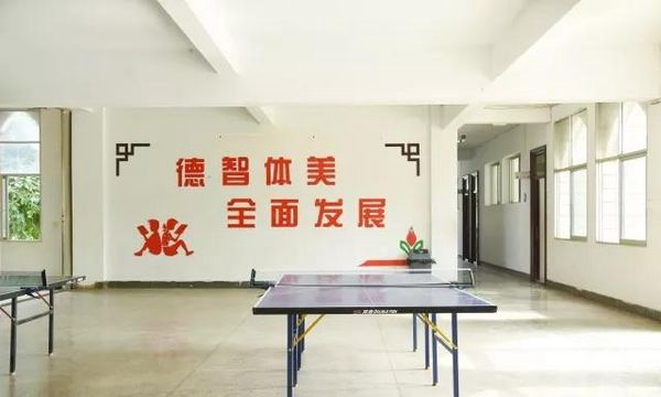 个旧市特格瓦阿拉伯语职业中学乒乓球台