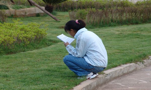 丽江民族中等专业学校校园小道