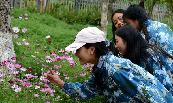 普洱市职业教育中心赏花