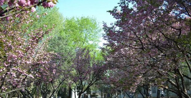 贵阳市女子职业学校(贵阳市旅游学校)鸟语花香