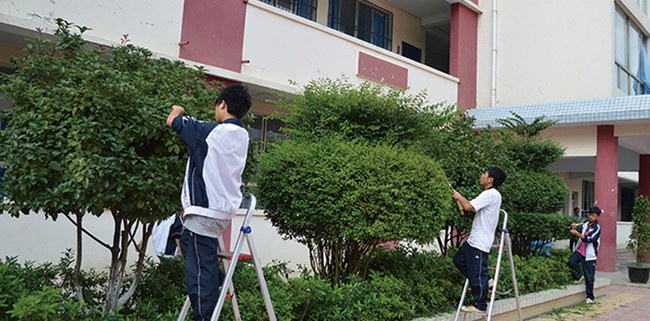 贵州省龙里中等职业学校校园美景考大家