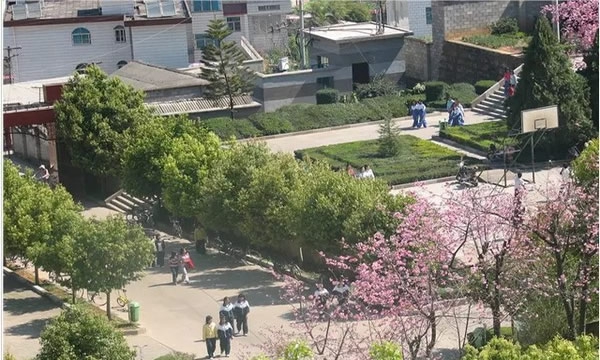 峨山县职业高级中学校园风景