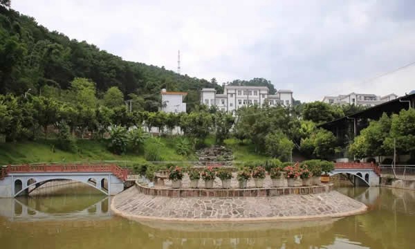 景东县职业高级中学校园风景