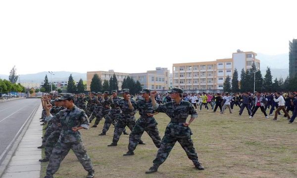 禄丰县职业高级中学军体拳