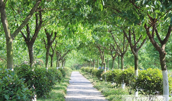 四川科华技工学校