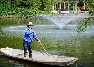 学校湖畔